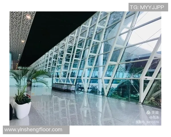 深圳网球队引领网球技术革新最新TOP10技术解析